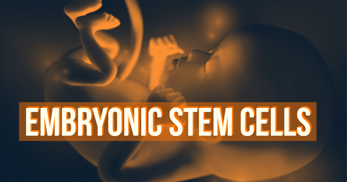 Embryonic stem cells